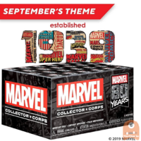 POP! Marvel Collector Corps Box Marvel 80 Years Theme - L