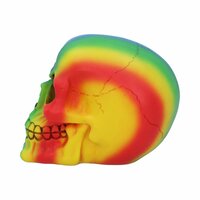Nemesis Now - Rainbow Skull 15.5cm