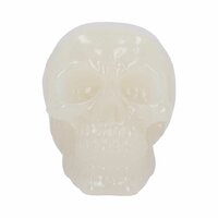 Nemesis Now - Phosphorescent Skull Head 10.5cm