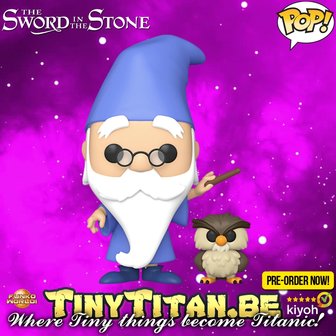 Funko POP! Merlin w/ Archimedes - Disney The Sword in the Stone Pre-order