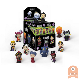 Mystery Mini Blind Box Villains