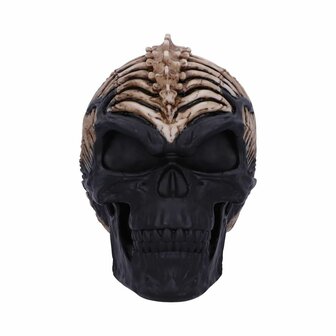 Nemesis Now - Officially Licensed James Ryman Spine Head Skull Skeleton 18.5CM