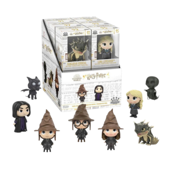 Mystery Minis HARRY POTTER Exclusive Random Single Box