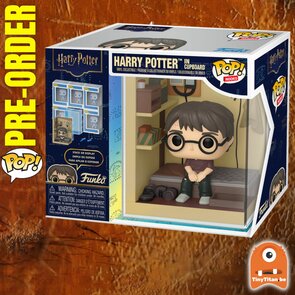 FUNKO POP! Nooks Harry Potter in Cupboard Harry Potter Pre-Order